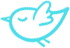 Weshine